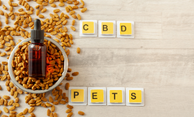 CBD for pets. How CBD can help our furry friends