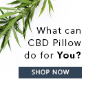 CBD Pillow 