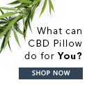 CBD Pillow