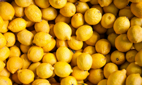 What are Terpenes and how do they affect us?